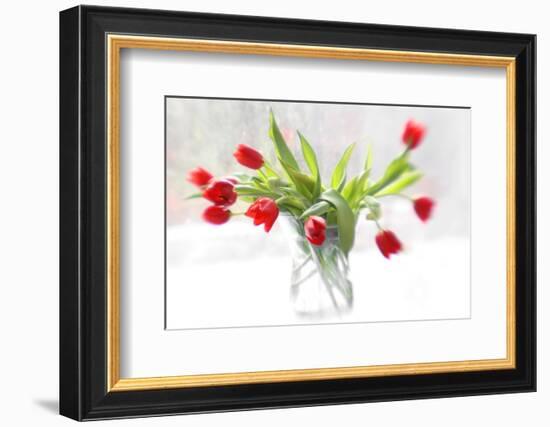 Tulips in Winter-Judy Stalus-Framed Art Print