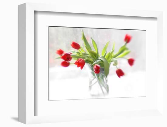 Tulips in Winter-Judy Stalus-Framed Art Print