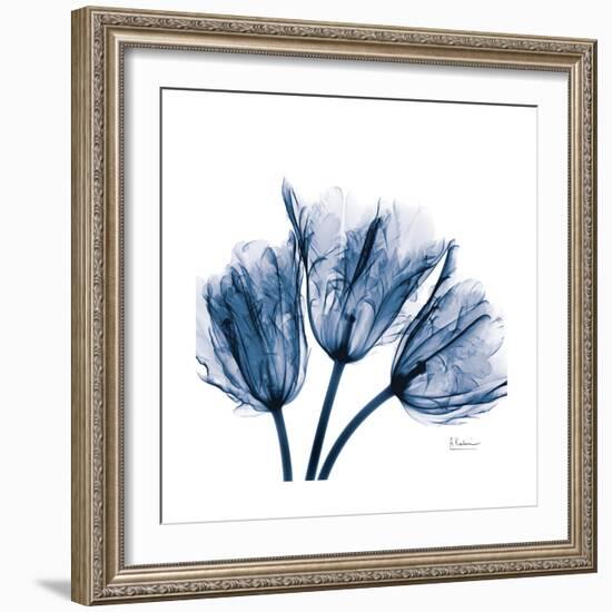 Tulips Indigo-Albert Koetsier-Framed Premium Giclee Print