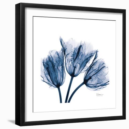 Tulips Indigo-Albert Koetsier-Framed Premium Giclee Print