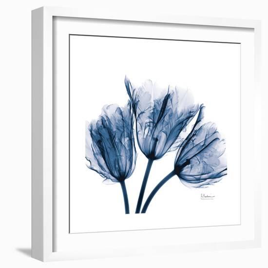 Tulips Indigo-Albert Koetsier-Framed Premium Giclee Print