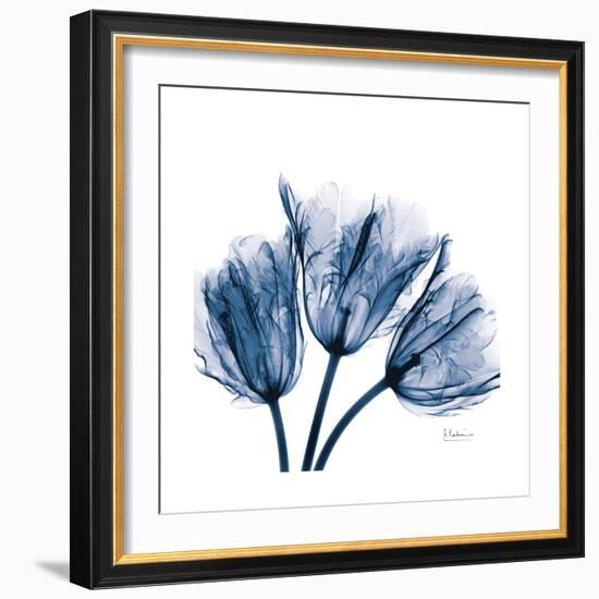 Tulips Indigo-Albert Koetsier-Framed Premium Giclee Print