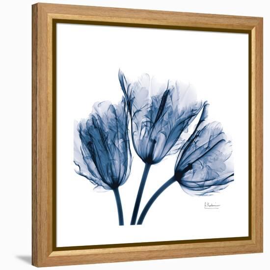 Tulips Indigo-Albert Koetsier-Framed Stretched Canvas