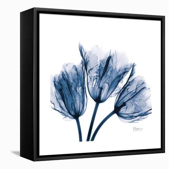 Tulips Indigo-Albert Koetsier-Framed Stretched Canvas