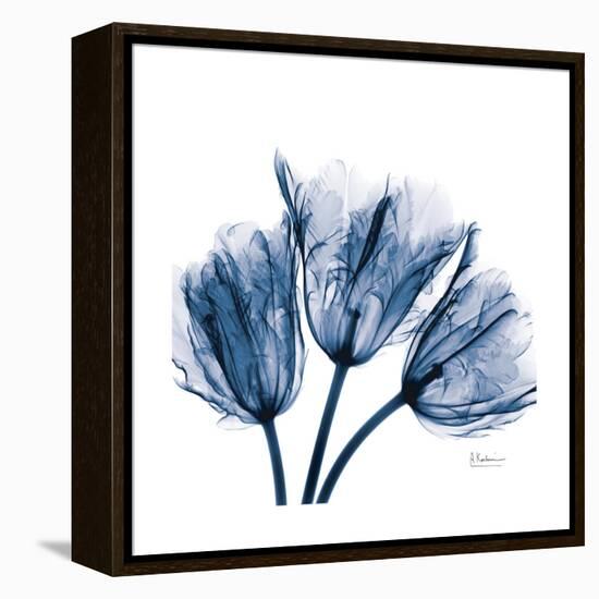 Tulips Indigo-Albert Koetsier-Framed Stretched Canvas