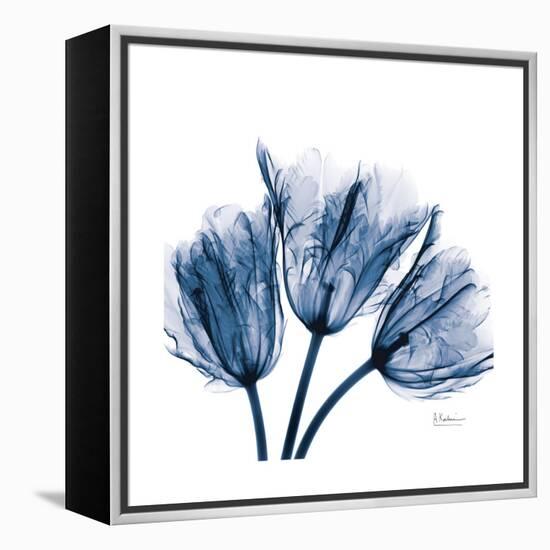 Tulips Indigo-Albert Koetsier-Framed Stretched Canvas