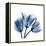 Tulips Indigo-Albert Koetsier-Framed Stretched Canvas