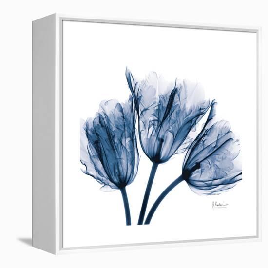 Tulips Indigo-Albert Koetsier-Framed Stretched Canvas