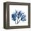 Tulips Indigo-Albert Koetsier-Framed Stretched Canvas