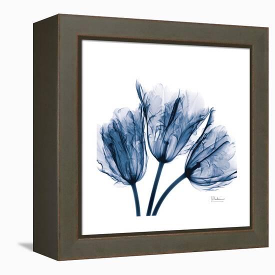 Tulips Indigo-Albert Koetsier-Framed Stretched Canvas