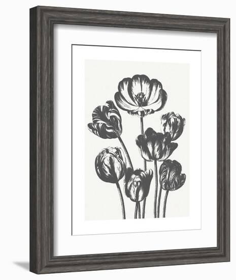 Tulips (Ivory & Ink)-Botanical Series-Framed Art Print