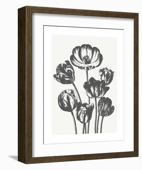 Tulips (Ivory & Ink)-Botanical Series-Framed Art Print