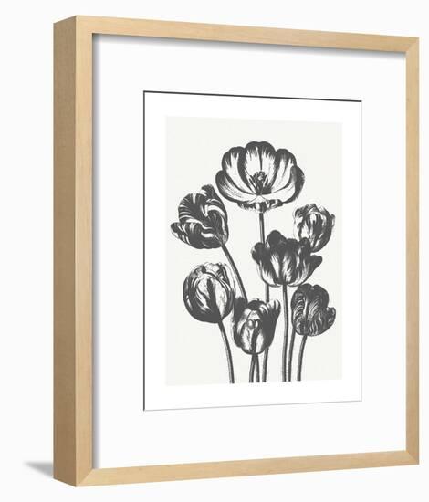 Tulips (Ivory & Ink)-Botanical Series-Framed Art Print