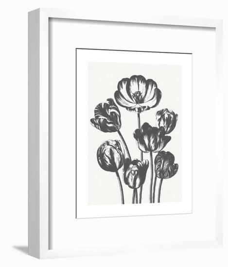 Tulips (Ivory & Ink)-Botanical Series-Framed Art Print