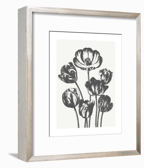 Tulips (Ivory & Ink)-Botanical Series-Framed Art Print