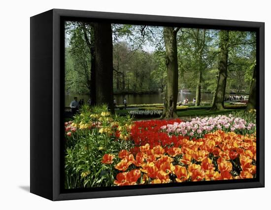 Tulips, Keukenhof Gardens, Lisse, Holland-I Vanderharst-Framed Premier Image Canvas