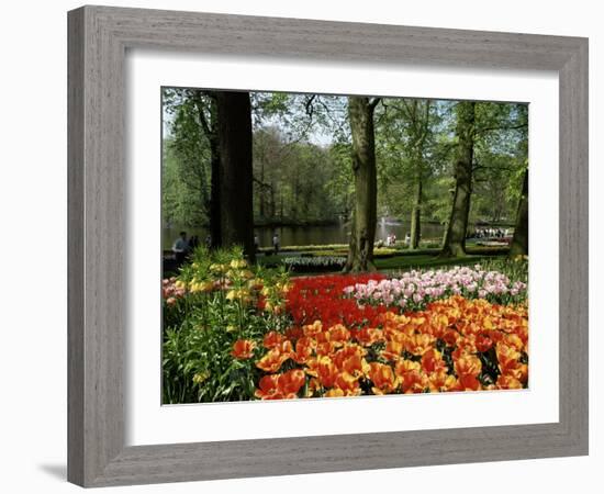 Tulips, Keukenhof Gardens, Lisse, Holland-I Vanderharst-Framed Photographic Print