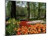 Tulips, Keukenhof Gardens, Lisse, Holland-I Vanderharst-Mounted Photographic Print