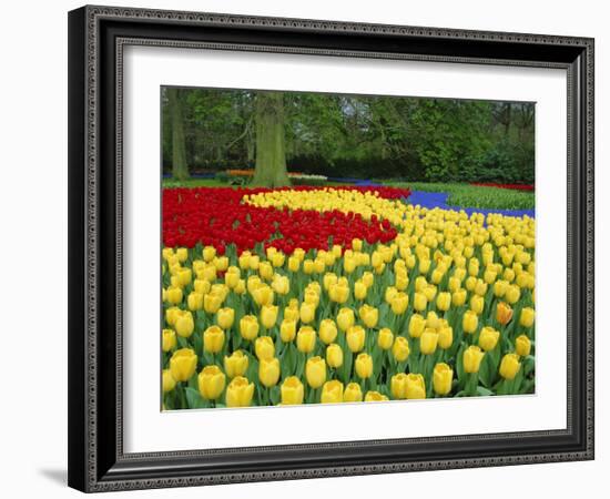 Tulips, Keukenhof Gardens, Netherlands-Gavin Hellier-Framed Photographic Print