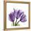 Tulips L63-Albert Koetsier-Framed Stretched Canvas