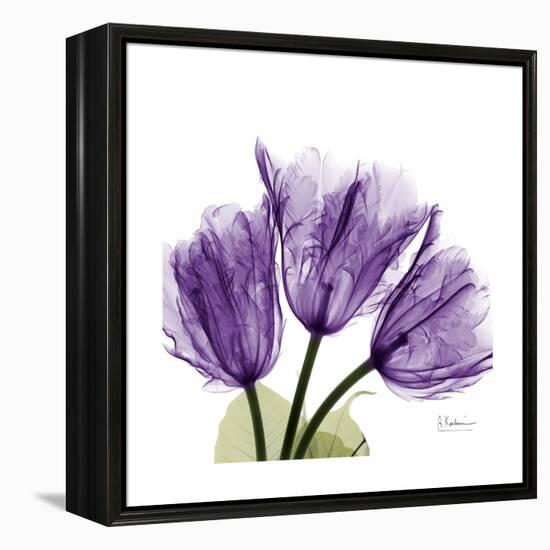 Tulips L63-Albert Koetsier-Framed Stretched Canvas