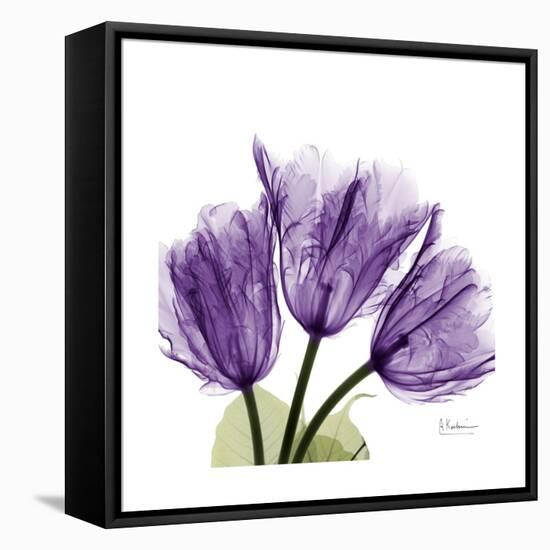 Tulips L63-Albert Koetsier-Framed Stretched Canvas