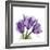 Tulips L63-Albert Koetsier-Framed Premium Giclee Print