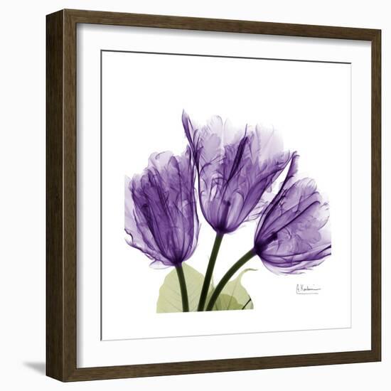 Tulips L63-Albert Koetsier-Framed Premium Giclee Print