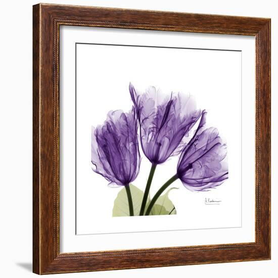 Tulips L63-Albert Koetsier-Framed Premium Giclee Print