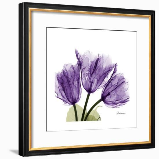 Tulips L63-Albert Koetsier-Framed Premium Giclee Print
