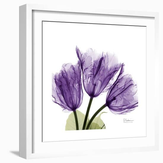 Tulips L63-Albert Koetsier-Framed Premium Giclee Print