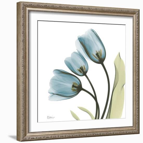 Tulips L87-Albert Koetsier-Framed Photographic Print