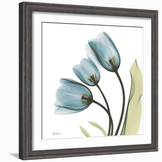 Tulips L87-Albert Koetsier-Framed Photographic Print