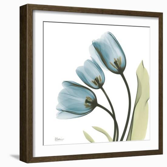 Tulips L87-Albert Koetsier-Framed Photographic Print