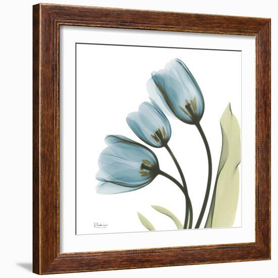 Tulips L87-Albert Koetsier-Framed Photographic Print