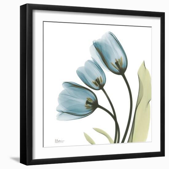 Tulips L87-Albert Koetsier-Framed Photographic Print