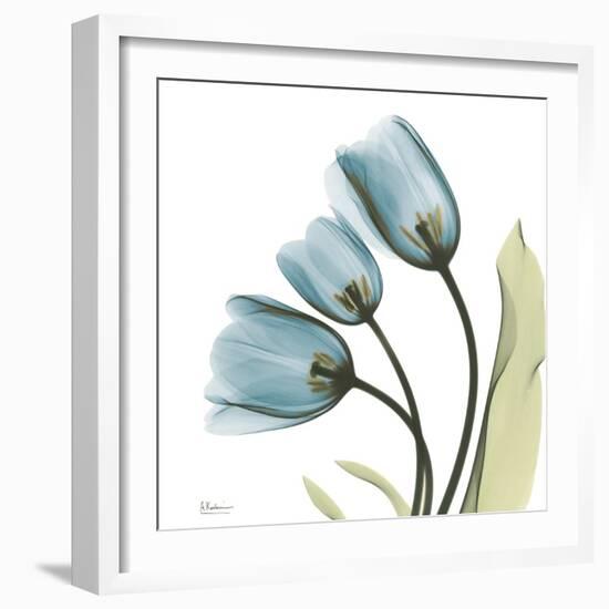 Tulips L87-Albert Koetsier-Framed Photographic Print