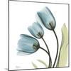 Tulips L87-Albert Koetsier-Mounted Photographic Print