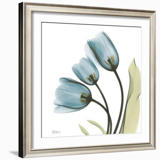 Tulips L87-Albert Koetsier-Framed Photographic Print
