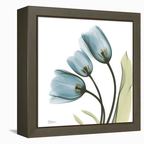 Tulips L87-Albert Koetsier-Framed Stretched Canvas