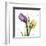 Tulips Love Unconditionally-Albert Koetsier-Framed Art Print