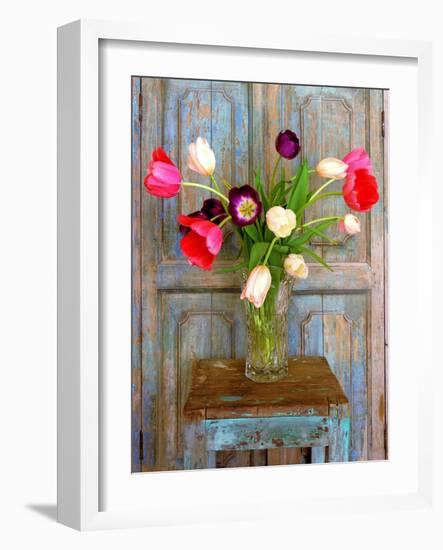 Tulips, Mexico-Alan Klug-Framed Photographic Print