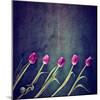 Tulips on a Wooden Board-graphicphoto-Mounted Art Print