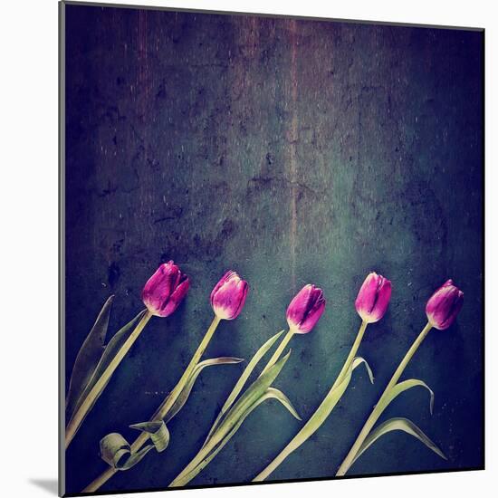 Tulips on a Wooden Board-graphicphoto-Mounted Art Print