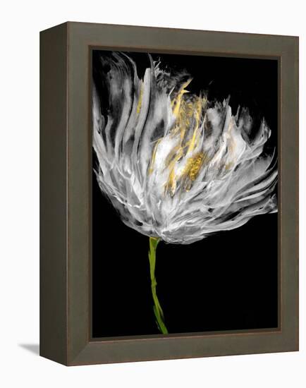 Tulips on Black I-Vanessa Austin-Framed Stretched Canvas