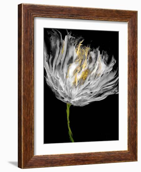 Tulips on Black I-Vanessa Austin-Framed Art Print