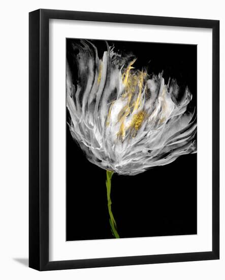 Tulips on Black I-Vanessa Austin-Framed Art Print