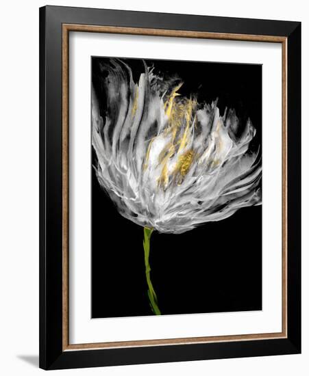 Tulips on Black I-Vanessa Austin-Framed Art Print