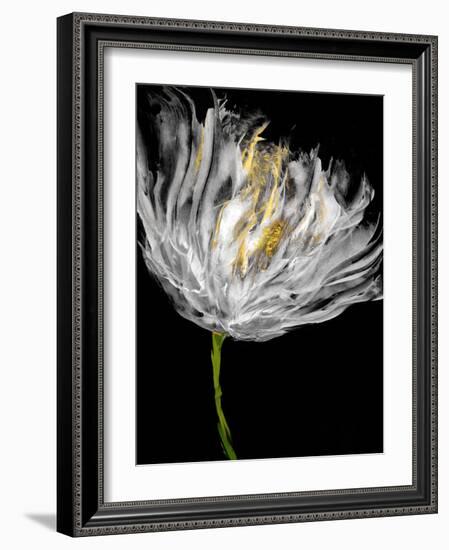 Tulips on Black I-Vanessa Austin-Framed Art Print