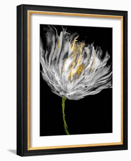 Tulips on Black I-Vanessa Austin-Framed Art Print